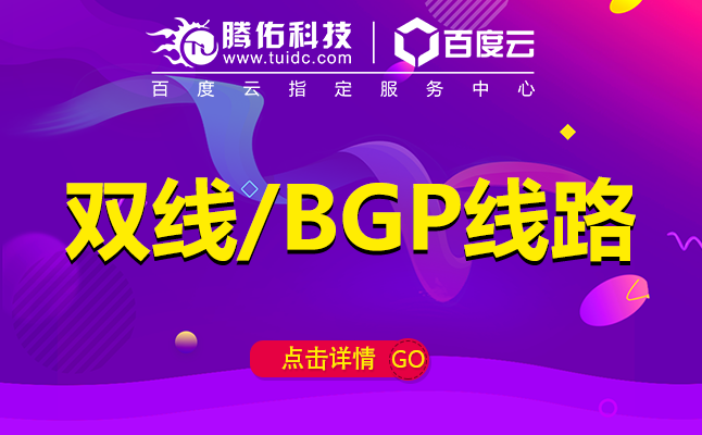 租用服务器BGP线路几千元成本配置