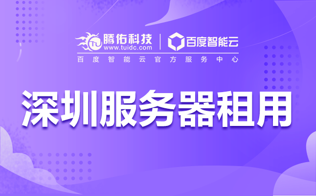 深圳电商网站租用服务器带宽，服务器租用